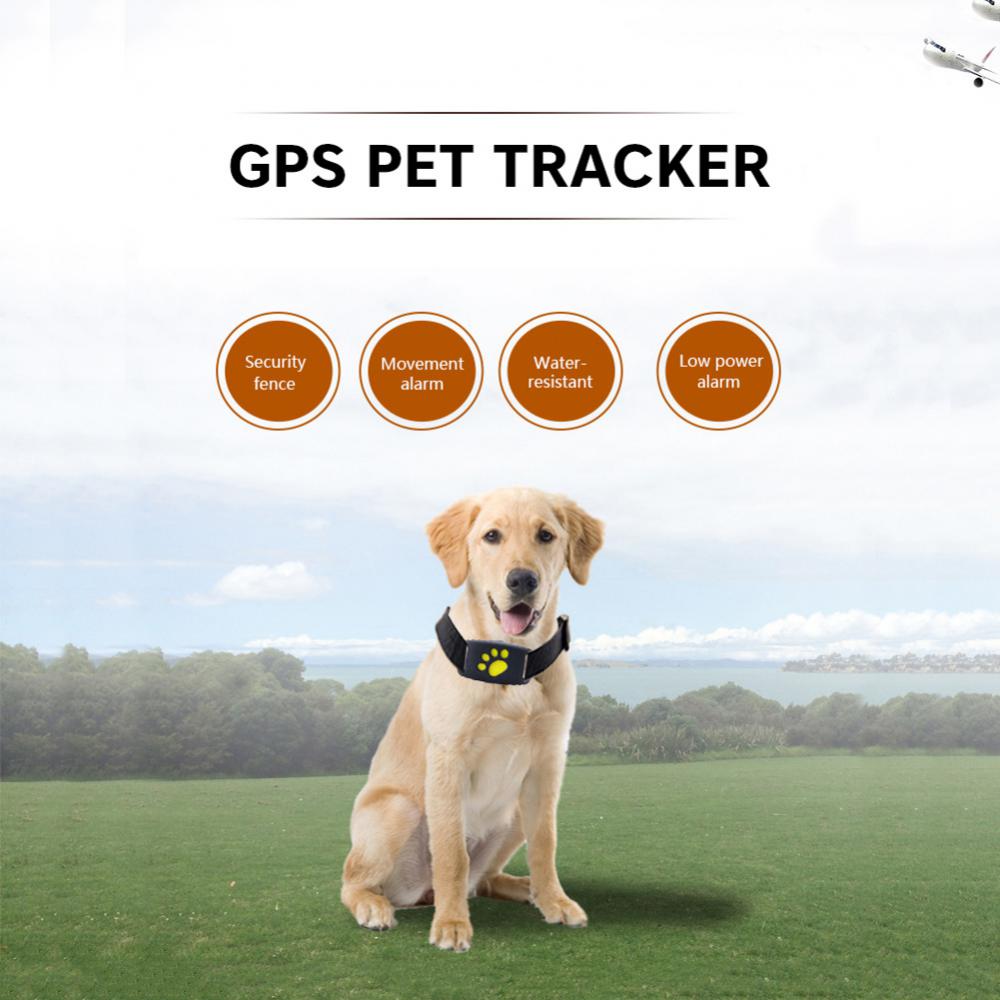 Collare localizzatore GPS per animali domestici