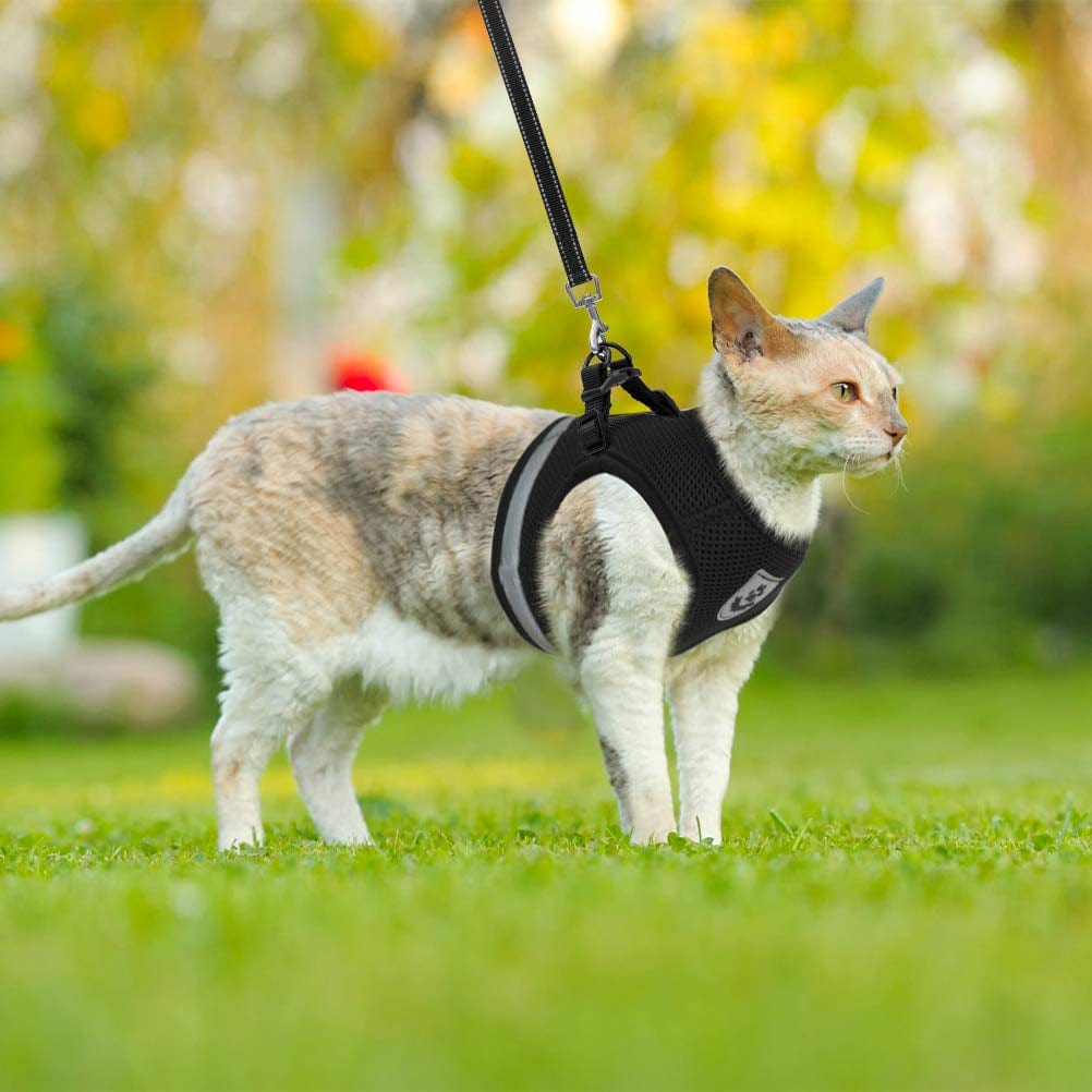 Pettorina e guinzaglio per animali domestici CozyCat